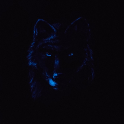 Wilk - koszulka damska z efektem fotoluminescencji